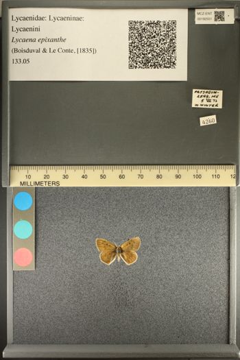 Media type: image;   Entomology 192551